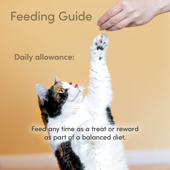 Applaws Natural Cat Treats, Whole Salmon Loin Cat Snack, 30 g Bag (Pack of 12) Applaws Natural Cat Treats, Whole Salmon Loin Cat Snack, 30 g Bag (Pack of 12)