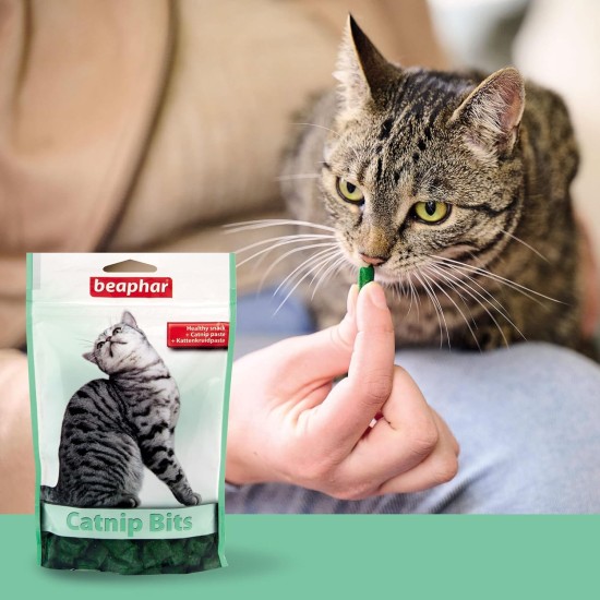 Beaphar Malt Bits Cat (12 Units) 150 GR Beaphar Malt Bits Cat (12 Units) 150 GR