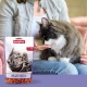 Beaphar Malt Bits Cat (12 Units) 150 GR Beaphar Malt Bits Cat (12 Units) 150 GR