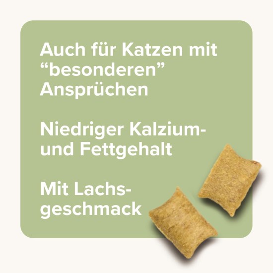 Beaphar Malt Bits Cat (12 Units) 150 GR Beaphar Malt Bits Cat (12 Units) 150 GR