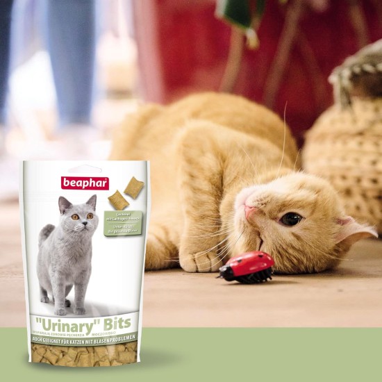 Beaphar Malt Bits Cat (12 Units) 150 GR Beaphar Malt Bits Cat (12 Units) 150 GR