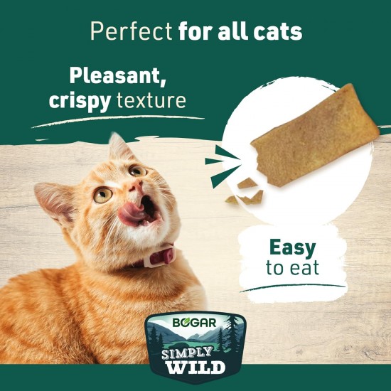 Bogar Simply Wild - Cat Treats - Supplement to Cat Food - Crispy Treats for Cats with Salmon - For Enjoyment & Cat Care - In the Form of Delicate Meat Strips - 50 g Bogar Simply Wild - Cat Treats - Supplement to Cat Food - Crispy Treats for Cats with Salmon - For Enjoyment & Cat Care - In the Form of Delicate Meat Strips - 50 g
