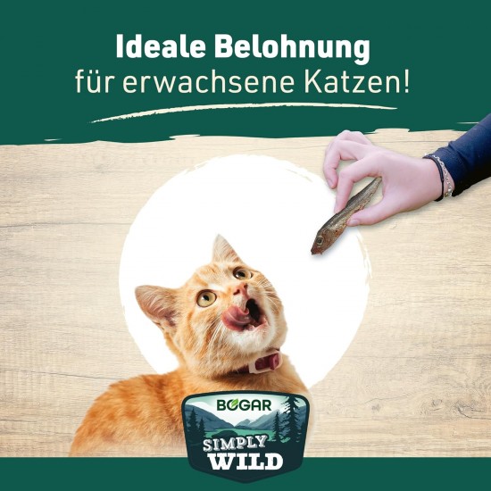 Bogar Simply Wild - Dog & Cat Treats - Addition to Cat Food - Dried Fish Treats for Dogs and Cats - Whole Dried Sprat Fish - 50g Bogar Simply Wild - Dog & Cat Treats - Addition to Cat Food - Dried Fish Treats for Dogs and Cats - Whole Dried Sprat Fish - 50g