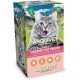 Creamy Cat Treats - Cremiger Hühnchen-Krabben-Snack (Display mit 12 Beuteln à 5x14 g) - für Katzen Creamy Cat Treats - Cremiger Hühnchen-Krabben-Snack (Display mit 12 Beuteln à 5x14 g) - für Katzen