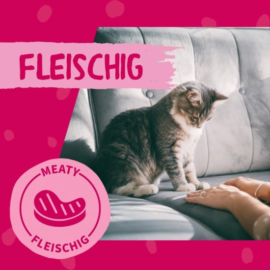 Dokas Tuna Fillet - Grain-Free Premium Treat for Cats - Ideal as a Reward Dokas Tuna Fillet - Grain-Free Premium Treat for Cats - Ideal as a Reward