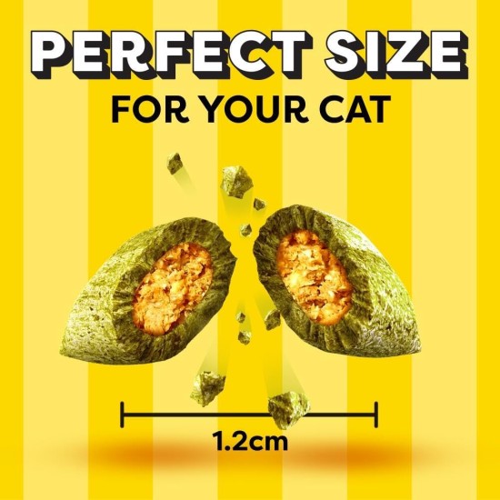 Dreamies Classic Cat Snacks with Salmon - Incredibly Crispy Bags with Delicate Filling - 2 x 350 g Dreamies Classic Cat Snacks with Salmon - Incredibly Crispy Bags with Delicate Filling - 2 x 350 g