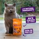 Edgard Cooper Natural Cat Snacks, Pillows with Salmon (1 x 60g Bag), Packed with Fresh Meat, Grain Free, Less Than 2 Kcal Per Snack, Natural Ingredients & No Added Sugar. Edgard Cooper Natural Cat Snacks, Pillows with Salmon (1 x 60g Bag), Packed with Fresh Meat, Grain Free, Less Than 2 Kcal Per Snack, Natural Ingredients & No Added Sugar.