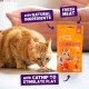 Edgard Cooper Natural Cat Snacks, Pillows with Salmon (1 x 60g Bag), Packed with Fresh Meat, Grain Free, Less Than 2 Kcal Per Snack, Natural Ingredients & No Added Sugar. Edgard Cooper Natural Cat Snacks, Pillows with Salmon (1 x 60g Bag), Packed with Fresh Meat, Grain Free, Less Than 2 Kcal Per Snack, Natural Ingredients & No Added Sugar.
