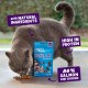 Edgard Cooper Natural Cat Snacks, Pillows with Salmon (1 x 60g Bag), Packed with Fresh Meat, Grain Free, Less Than 2 Kcal Per Snack, Natural Ingredients & No Added Sugar. Edgard Cooper Natural Cat Snacks, Pillows with Salmon (1 x 60g Bag), Packed with Fresh Meat, Grain Free, Less Than 2 Kcal Per Snack, Natural Ingredients & No Added Sugar.