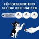 Felix Knabber Mix Original and Strandspaß (Beach Fun) Cat Snack with Various Varieties, Mixtray 2 x (8 x 60 g) Felix Knabber Mix Original and Strandspaß (Beach Fun) Cat Snack with Various Varieties, Mixtray 2 x (8 x 60 g)