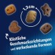 Felix Knabber Mix Original and Strandspaß (Beach Fun) Cat Snack with Various Varieties, Mixtray 2 x (8 x 60 g) Felix Knabber Mix Original and Strandspaß (Beach Fun) Cat Snack with Various Varieties, Mixtray 2 x (8 x 60 g)