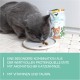 GimCat Crunchy Snacks Duck with Catnip - Crunchy and Protein Rich Cat Treats - 1 Bag (1 x 50 g) GimCat Crunchy Snacks Duck with Catnip - Crunchy and Protein Rich Cat Treats - 1 Bag (1 x 50 g)