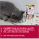 GimCat Crunchy Snacks Duck with Catnip - Crunchy and Protein Rich Cat Treats - 1 Bag (1 x 50 g) GimCat Crunchy Snacks Duck with Catnip - Crunchy and Protein Rich Cat Treats - 1 Bag (1 x 50 g)