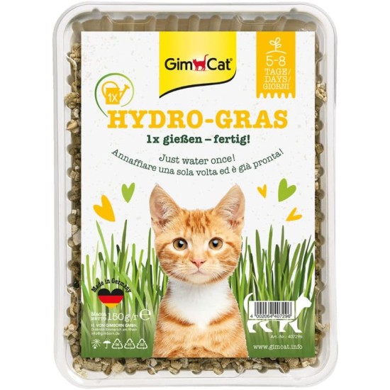 GimCat Hydro Grass: Fresh Cat Grass from Controlled Fields in Only 5 to 8 Days - 1 Bowl (1 x 150 g) GimCat Hydro Grass: Fresh Cat Grass from Controlled Fields in Only 5 to 8 Days - 1 Bowl (1 x 150 g)
