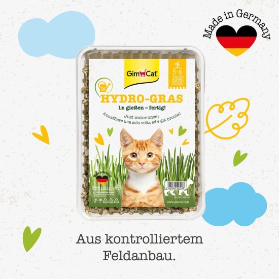 GimCat Hydro Grass: Fresh Cat Grass from Controlled Fields in Only 5 to 8 Days - 1 Bowl (1 x 150 g) GimCat Hydro Grass: Fresh Cat Grass from Controlled Fields in Only 5 to 8 Days - 1 Bowl (1 x 150 g)