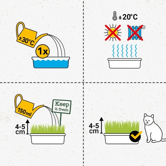 GimCat Hydro Grass: Fresh Cat Grass from Controlled Fields in Only 5 to 8 Days - 1 Bowl (1 x 150 g) GimCat Hydro Grass: Fresh Cat Grass from Controlled Fields in Only 5 to 8 Days - 1 Bowl (1 x 150 g)