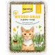 GimCat Hydro Grass: Fresh Cat Grass from Controlled Fields in Only 5 to 8 Days - 1 Bowl (1 x 150 g) GimCat Hydro Grass: Fresh Cat Grass from Controlled Fields in Only 5 to 8 Days - 1 Bowl (1 x 150 g)