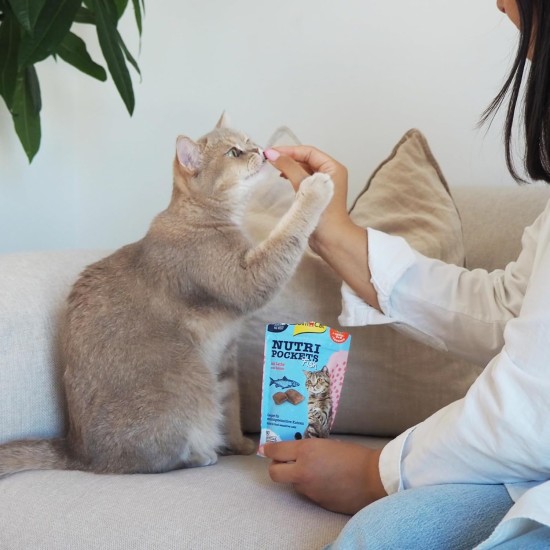 GimCat Nutri Pockets Fish Salmon - Crispy Cat Snack with Functional Ingredients - 1 Bag (1 x 60 g) GimCat Nutri Pockets Fish Salmon - Crispy Cat Snack with Functional Ingredients - 1 Bag (1 x 60 g)