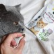 GimCat Soft Snacks Duck with Blueberries - Soft and Protein Rich Cat Treat without Added Sugar - 1 Bag (1 x 60 g) GimCat Soft Snacks Duck with Blueberries - Soft and Protein Rich Cat Treat without Added Sugar - 1 Bag (1 x 60 g)
