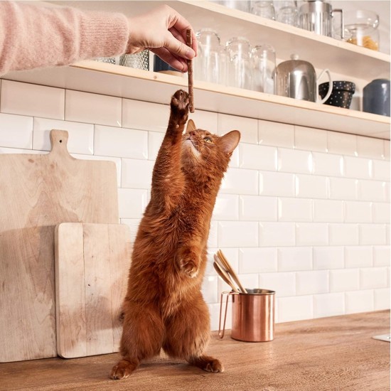 GimCat Sticks Poultry - Soft Chew Sticks with High Meat Content and No Added Sugar - 1 Pack (1 x 4 Sticks) GimCat Sticks Poultry - Soft Chew Sticks with High Meat Content and No Added Sugar - 1 Pack (1 x 4 Sticks)