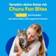 INABA Churu Bites Rich in Chicken and Tuna Cat Treats | Grain Free, Sugar Free, No Artificial Flavours Cat Snacks | Perfect to Hide Medicine 30 g (Pack of 1)