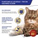 INABA Churu Cat Treats, No By-Products, Creamy Snack, Variety Box with Seafood, Grain-Free, Sugar-Free, Low Calorie, 100% Natural Meat, Premium Cat Treats, 560 g INABA Churu Cat Treats, No By-Products, Creamy Snack, Variety Box with Seafood, Grain-Free, Sugar-Free, Low Calorie, 100% Natural Meat, Premium Cat Treats, 560 g