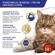 INABA Churu Cat Treats, No By-Products, Creamy Snack, Variety Box with Seafood, Grain-Free, Sugar-Free, Low Calorie, 100% Natural Meat, Premium Cat Treats, 560 g INABA Churu Cat Treats, No By-Products, Creamy Snack, Variety Box with Seafood, Grain-Free, Sugar-Free, Low Calorie, 100% Natural Meat, Premium Cat Treats, 560 g