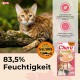 INABA Churu Cat Treats, No By-Products, Creamy Snack, Variety Box with Seafood, Grain-Free, Sugar-Free, Low Calorie, 100% Natural Meat, Premium Cat Treats, 560 g INABA Churu Cat Treats, No By-Products, Creamy Snack, Variety Box with Seafood, Grain-Free, Sugar-Free, Low Calorie, 100% Natural Meat, Premium Cat Treats, 560 g