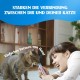 INABA Churu Cat Treats, No By-Products, Creamy Snack, Variety Box with Tuna, Grain-Free, Sugar-Free, Low Calorie, 100% Natural Meat, Premium Cat Treats from Japan