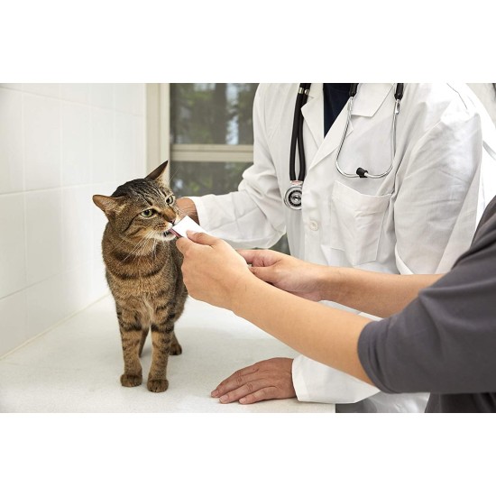 INABA Churu Pops Rich in Tuna Cat Treats, Grain-Free, Sugar-Free, No Artificial Flavours, High Moisture Content, Cat Snacks, 60 g (Pack of 1) INABA Churu Pops Rich in Tuna Cat Treats, Grain-Free, Sugar-Free, No Artificial Flavours, High Moisture Content, Cat Snacks, 60 g (Pack of 1)