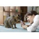 INABA Churu Pops Rich in Tuna Cat Treats, Grain-Free, Sugar-Free, No Artificial Flavours, High Moisture Content, Cat Snacks, 60 g (Pack of 1) INABA Churu Pops Rich in Tuna Cat Treats, Grain-Free, Sugar-Free, No Artificial Flavours, High Moisture Content, Cat Snacks, 60 g (Pack of 1)