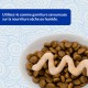 INABA Churu Puree Cat Snacks - Cat Paste for Feeding from the Hand - Cat Sticks with Tuna & Clam - 4 Sticks x 14 g INABA Churu Puree Cat Snacks - Cat Paste for Feeding from the Hand - Cat Sticks with Tuna & Clam - 4 Sticks x 14 g