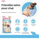 INABA Churu Puree Cat Snacks - Cat Paste for Feeding from the Hand - Cat Sticks with Tuna & Clam - 4 Sticks x 14 g INABA Churu Puree Cat Snacks - Cat Paste for Feeding from the Hand - Cat Sticks with Tuna & Clam - 4 Sticks x 14 g