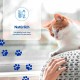 INABA Churu Skin & Coat - Cat Treats with Chicken - Omega 3 & 6 and Taurine - Feline Snacks, Creamy Texture - Cat Food, Skin & Fur - 4 Tubes x 14 g INABA Churu Skin & Coat - Cat Treats with Chicken - Omega 3 & 6 and Taurine - Feline Snacks, Creamy Texture - Cat Food, Skin & Fur - 4 Tubes x 14 g