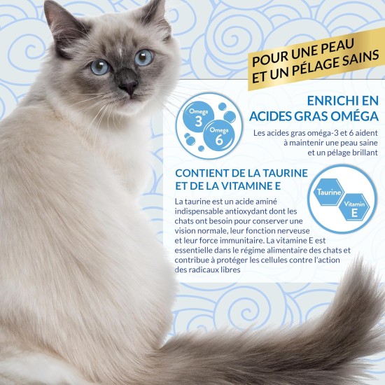 INABA Churu Skin & Coat - Cat Treats with Chicken - Omega 3 & 6 and Taurine - Feline Snacks, Creamy Texture - Cat Food, Skin & Fur - 4 Tubes x 14 g INABA Churu Skin & Coat - Cat Treats with Chicken - Omega 3 & 6 and Taurine - Feline Snacks, Creamy Texture - Cat Food, Skin & Fur - 4 Tubes x 14 g