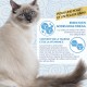 INABA Churu Skin & Coat - Cat Treats with Chicken - Omega 3 & 6 and Taurine - Feline Snacks, Creamy Texture - Cat Food, Skin & Fur - 4 Tubes x 14 g INABA Churu Skin & Coat - Cat Treats with Chicken - Omega 3 & 6 and Taurine - Feline Snacks, Creamy Texture - Cat Food, Skin & Fur - 4 Tubes x 14 g