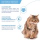 INABA Churu Skin & Coat - Cat Treats with Chicken - Omega 3 & 6 and Taurine - Feline Snacks, Creamy Texture - Cat Food, Skin & Fur - 4 Tubes x 14 g INABA Churu Skin & Coat - Cat Treats with Chicken - Omega 3 & 6 and Taurine - Feline Snacks, Creamy Texture - Cat Food, Skin & Fur - 4 Tubes x 14 g