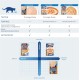 INABA Ciao Stew Cat Snacks 86% Moisture and Vitamin E, Creamy Premium Cat Treats with Chicken & Salmon 40 g (Pack of 1), Delicious Addition for Wet and Dry Food INABA Ciao Stew Cat Snacks 86% Moisture and Vitamin E, Creamy Premium Cat Treats with Chicken & Salmon 40 g (Pack of 1), Delicious Addition for Wet and Dry Food