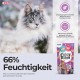 INABA Juicy Bites Cat Treats - Nibble Bags with Juicy Core in Funny Shapes - Mouth Size Cat Snacks in 2 Flavours - Chicken & Tuna 3 x 11 g INABA Juicy Bites Cat Treats - Nibble Bags with Juicy Core in Funny Shapes - Mouth Size Cat Snacks in 2 Flavours - Chicken & Tuna 3 x 11 g