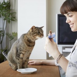 INABA Tuna Fillet Grilled Cat Treat, Tuna Fillet, Flavoured Broth with Scallop, Grilled, Antioxidant-Rich Feline Snack, Cat Food, 1 Fillet of 15 g INABA Tuna Fillet Grilled Cat Treat, Tuna Fillet, Flavoured Broth with Scallop, Grilled, Antioxidant-Rich Feline Snack, Cat Food, 1 Fillet of 15 g