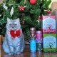 Pawfect Nature's Feast FD Cat Treat, Chicken Breast Pawfect Nature's Feast FD Cat Treat, Chicken Breast