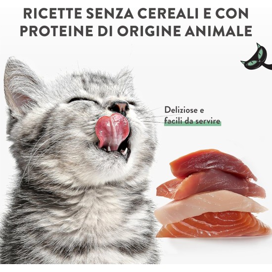 Schesir Stix Creamy Snacks for Adult Cats Salmon 90g x 12 Schesir Stix Creamy Snacks for Adult Cats Salmon 90g x 12