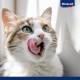 Vitakraft Cat Snack Premium Filet Vitakraft Cat Snack Premium Filet