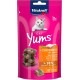 Vitakraft Cat Yums Chicken/Catnip 40 g - Pack of 9 Vitakraft Cat Yums Chicken/Catnip 40 g - Pack of 9