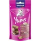 Vitakraft Cat Yums Chicken/Catnip 40 g - Pack of 9 Vitakraft Cat Yums Chicken/Catnip 40 g - Pack of 9