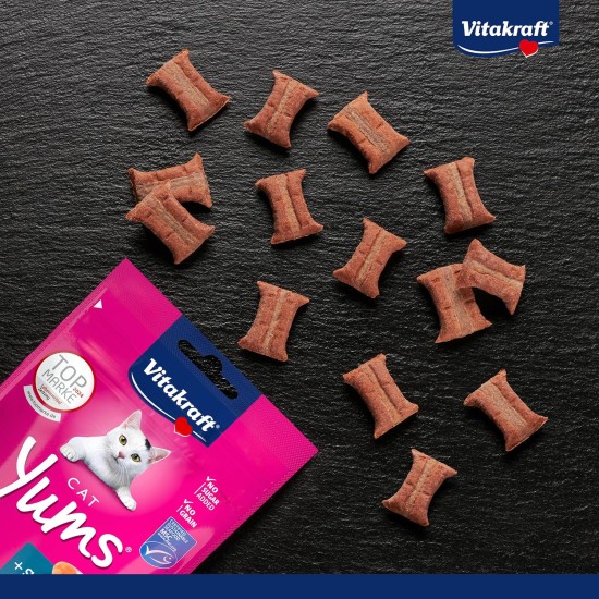 Vitakraft Cat Yums Salmon, 9-pack (9x40g) Vitakraft Cat Yums Salmon, 9-pack (9x40g)