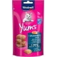 Vitakraft Cat Yums Salmon, 9-pack (9x40g) Vitakraft Cat Yums Salmon, 9-pack (9x40g)
