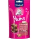 Vitakraft Cat Yums, treats for cats, liver sausage, 40g Vitakraft Cat Yums, treats for cats, liver sausage, 40g