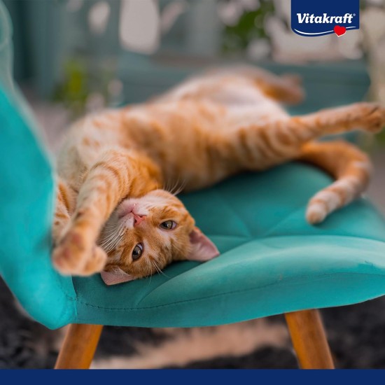 Vitakraft Drink, Liquid Cat Treat, Cat Snack for Balanced Liquid Household, with Salmon, in Individual Sachets, No Added Sugar (5 x 30 g) Vitakraft Drink, Liquid Cat Treat, Cat Snack for Balanced Liquid Household, with Salmon, in Individual Sachets, No Added Sugar (5 x 30 g)