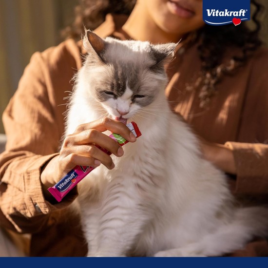 Vitakraft Drink, Liquid Cat Treat, Cat Snack for Balanced Liquid Household, with Salmon, in Individual Sachets, No Added Sugar (5 x 30 g) Vitakraft Drink, Liquid Cat Treat, Cat Snack for Balanced Liquid Household, with Salmon, in Individual Sachets, No Added Sugar (5 x 30 g)
